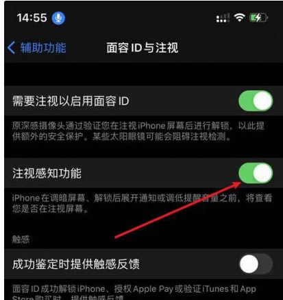 西藏苹果14维修网点分享iPhone14注视感知功能有什么用 